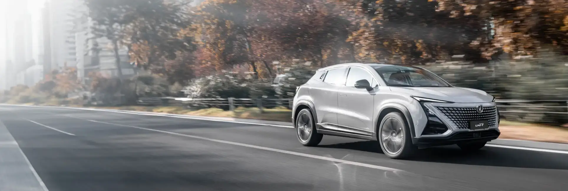 Asistente Conducción Semiautónoma L2