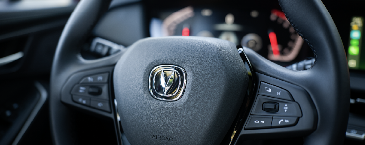 Control Crucero Smart