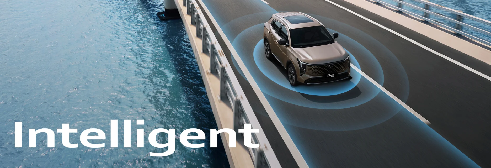 Visión completa del entorno