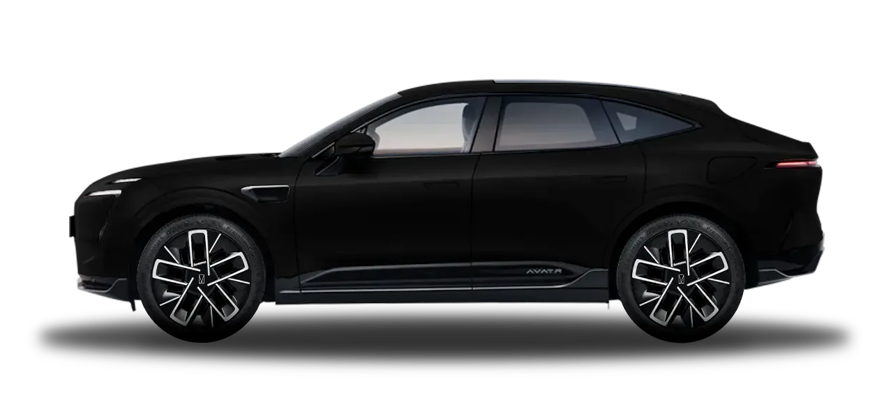 LUXURY EV - Matte Black Exterior